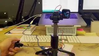Analog Input (Physical Computing)