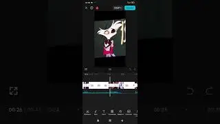 как делалось последнее видео