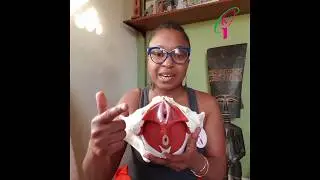 Must Be Done Before Inserting Your Yoni Egg