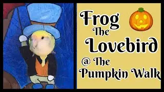 Frog and Friends at the Pumpkin Walk