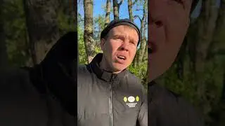 УПАЛ С ВЫСОКОГО ДЕРЕВА