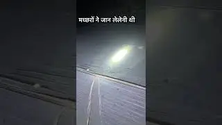 मच्छरों का परकोप देखो