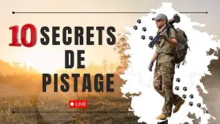 Apprendre à Pister : 10 Secrets bien garder!  (live Anniversaire) #animals #pistage #photography