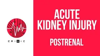 Postrenal causes of kidney failure - the Acute Kidney Injury series