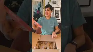 It’s finally here! Check out everyone’s reaction to my book The Mom Life