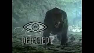 Skyrim bear