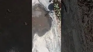 Всем жить охота .