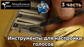 Инструменты для настройки голосов баяна, аккордеона. Показывает Евгений Новиков - 