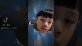Fly