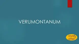 Verumontanum Meaning
