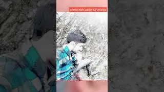 Yaad haa tum ko jub dil ko choria tha