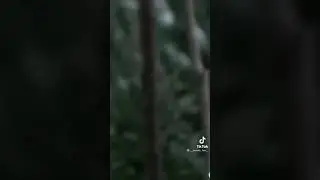 Шуточки Деймона//Дневники Вампира