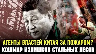 EXPLOSIVE REVELATION: Is the Hong Kong fire the work of Chinese intelligence? Is Xi to blame for ...