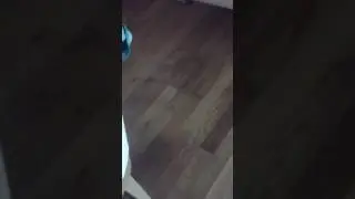Вирус