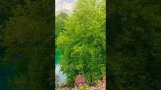 Beautiful lake/ Hermoso lago #shorts #travel #nature #lake #lago