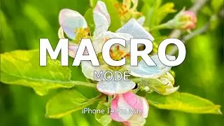 iPhone 14 Pro Max: ecco come dovresti REALMENTE scattare foto MACRO!