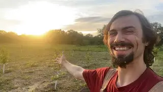 Food Forest Update & Invitation