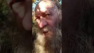 VID 20241028 124311 #витямитя
