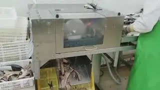 Fish Filleting Machine