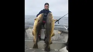 Double huge summercod for our guide Daniel! | ENG SUBS