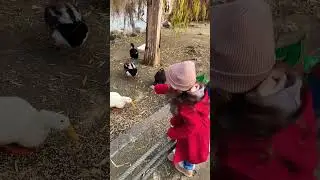 Asya ile ördekleri besledik onları yalnız bırakmayalım dostlarım🦆