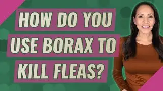How do you use borax to kill fleas?