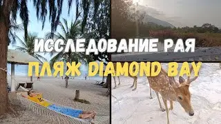 Как мы съездили на пляж Diamond Bay возле Нячанга