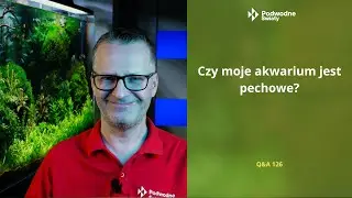 Q&A 126. Czy moje akwarium jest pechowe?