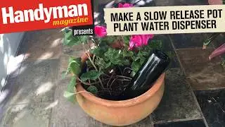 Turn A Wine Bottle Into A Self Watering System