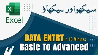 Data Entry in Microsoft Excel | Complete Tutorial for Beginners | Urdu/Hindi