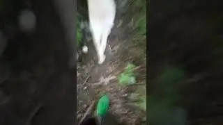 На нас напал маньяк часть 1