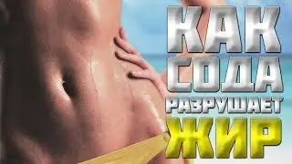 Как СОДА разрушает ЖИР