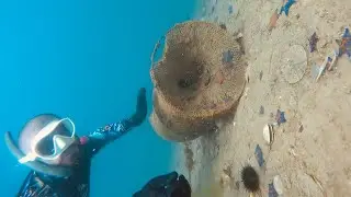 На о.Путятина. Распугали всех моржей и съели всех ежей!