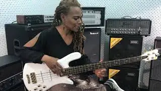 Divinity Roxx: DR Strings - My Favorite Workhorse