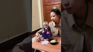 With mom, holiday #monkey #baby #shortvideo #cute #love #babymonkey