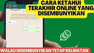 HOW TO KNOW YOUR LAST ONLINE WA WHICH IS HIDDEN