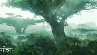 Beautiful Forest Video| Beautiful scenery| Nature Status| Nature Status for Whatsapp