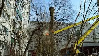 Спил тополя с автовышки