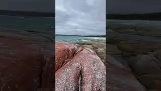 Swimcart Beach, Bay of Fires Tasmania Australia #tasmania #australia