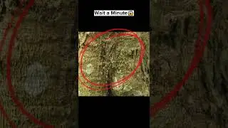 Scary things hidden in normal photos Part#20 