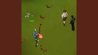 Pheasant Peasant