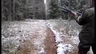 ПРИКОЛ ! ОХОТА неудачника