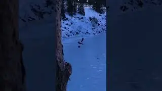Extreme Tarzan in Karelia. Would you try?