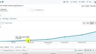 Mike's SEO RoadTrip: 28 December 2020 Performance Organic Visitors