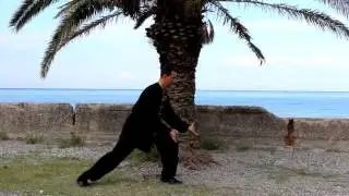 Чэнь ши лаоцзя и лу. 9.лоу си