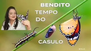 #walk04_12 l Quando o tempo da espera vai além de somente esperar