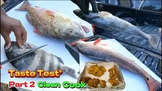 How to(Clean Cook)My Catch and Share Knowledge “Bonus Cook”