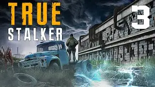 TRUE S.T.A.L.K.E.R. #3 ПРИНЁС В ДЕРЕВНЮ БЕДУ