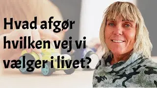 🔥 The Dunedin Study | Hvad afgør hvilken vej vi vælger i livet?🔥