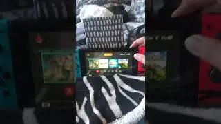 Nintendo Switch game card errors.